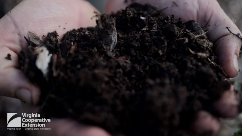 black rich soil in cupped hands