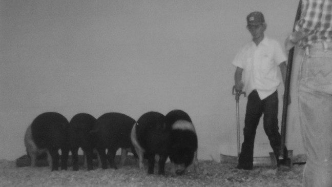 Baker has been farming pigs since childhood