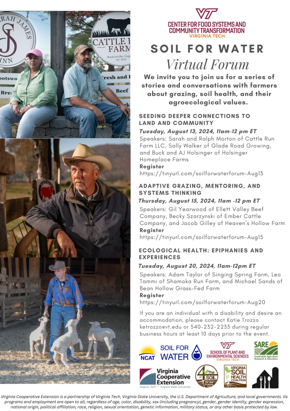 Image of the flyer for the virtual forum