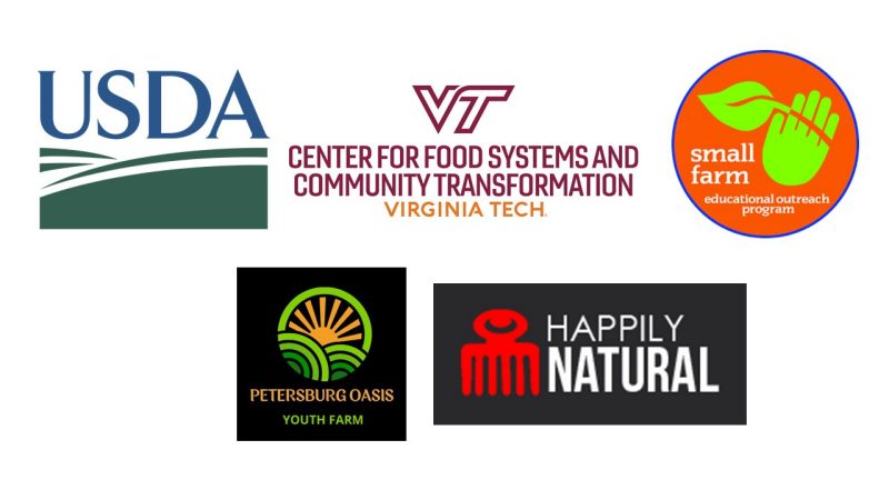 Virginia FSA Project Logos